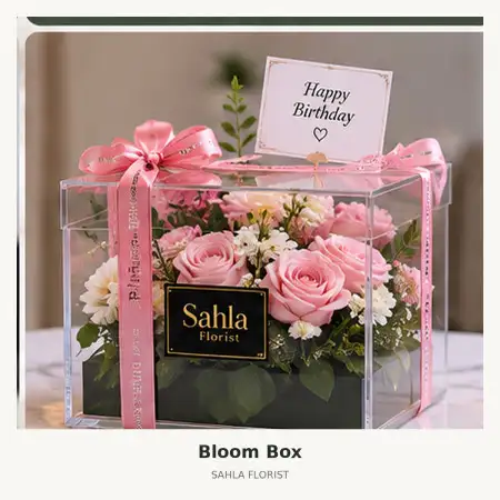 Bloom Box Serang